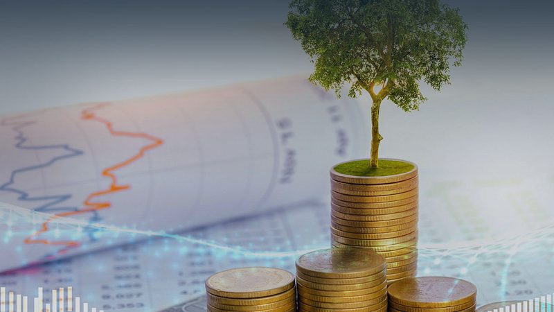 企业投融资报告：如何精准把握企业未来发展方向**